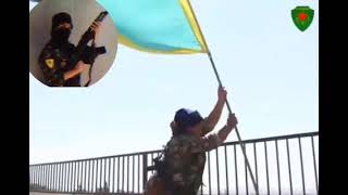 Ypj Ypg Hat ✌️💛💚❤️