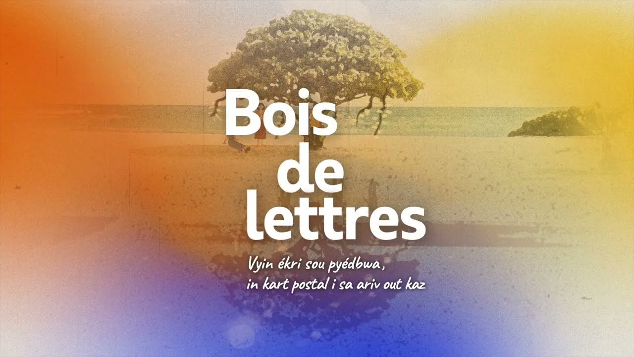BOIS DE LETTRES 2024 • AFTERMOVIE