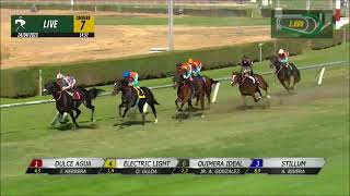 Vidéo de la course PMU PRIX GEOFFREY BUSHELL