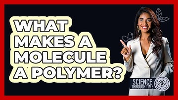 What Makes A Molecule A Polymer? - Science Through Time
