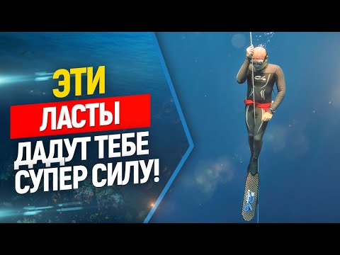 New torpedo fins and freediving wetsuit from C4!