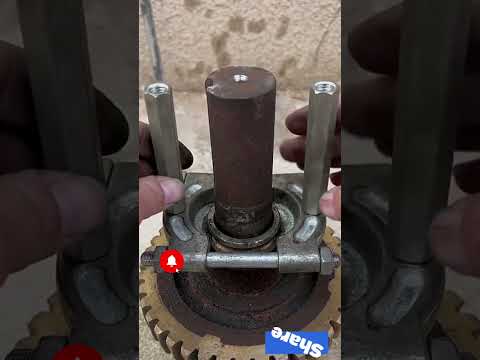 زرجينة ذكية