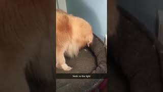 Daily snaps  8/5/18