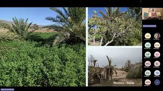 TRANS SAHARA Expert Talks Series with Professor Michael Jacobson