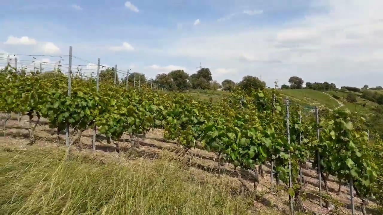 bigbench Mühlhausen