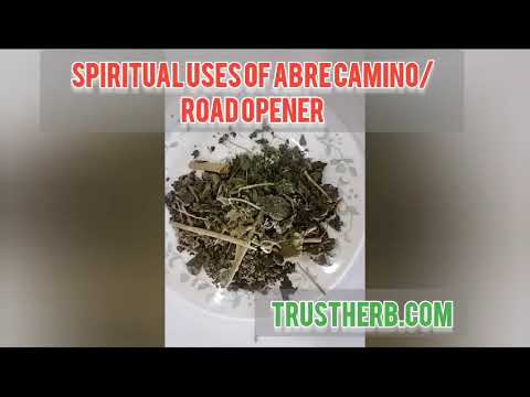 Abre Camino Meaning In English