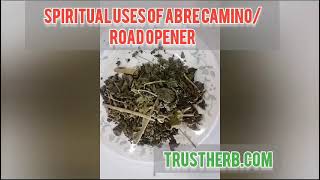 Spiritual Use of Abre Camino in Spells | Road Opener Herb | Hoodoo/Voodoo/Witchcraft | Trustherb.com