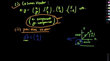 Unit 6 Vector: Types and Comparison | Grade 8 Opt. Math | Class 8 Opt. Math | NOS Math Class Vectors