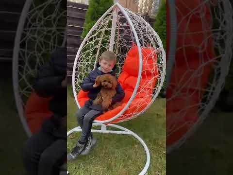 Подвесное Кресло Кокон "Капля"