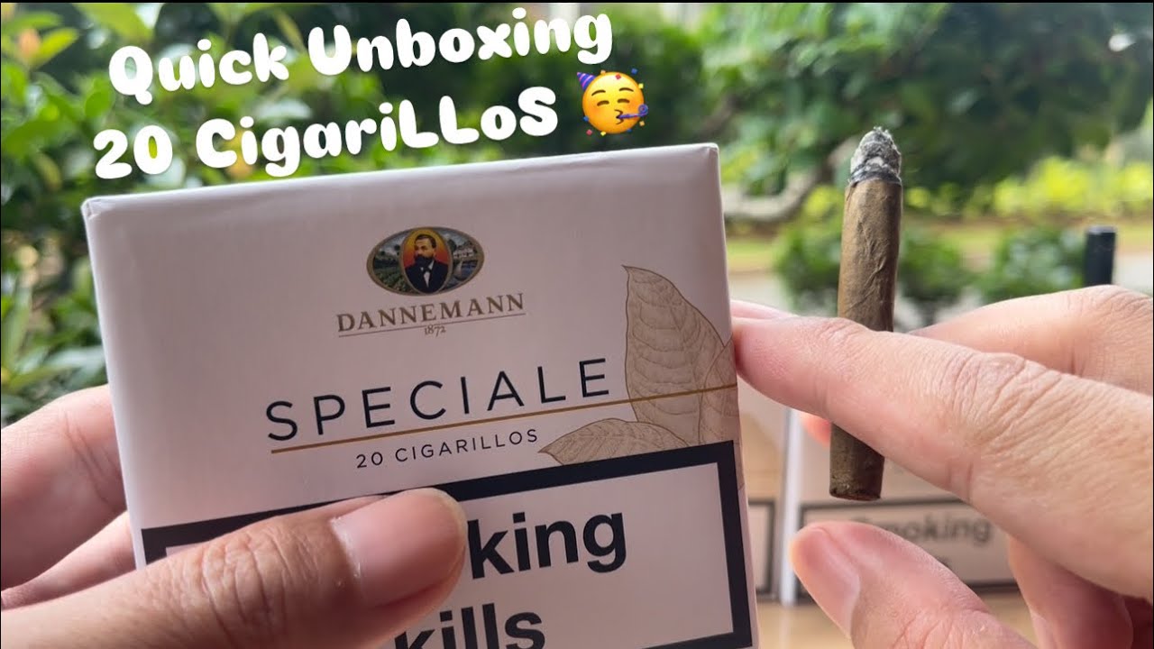 Unboxing DANNEMANN SPECIALE 20 CIGARILLOS 🔥