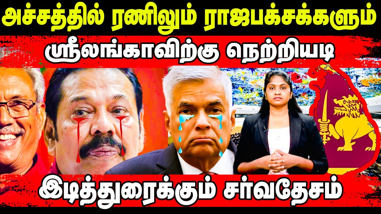 அச்சத்தில் ரணிலும் ராஜபக்சக்களும்!! ஸ்ரீலங்காவிற்க நெற்றியடி!! இடித்துரைக்கும் சர்வதேசம் | Srilanka