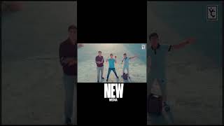 Şadyýan Ýigitler - Leýla