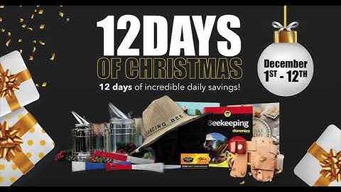 Dancing Bee Equipment | 12 Days of Christmas Sale 2021!