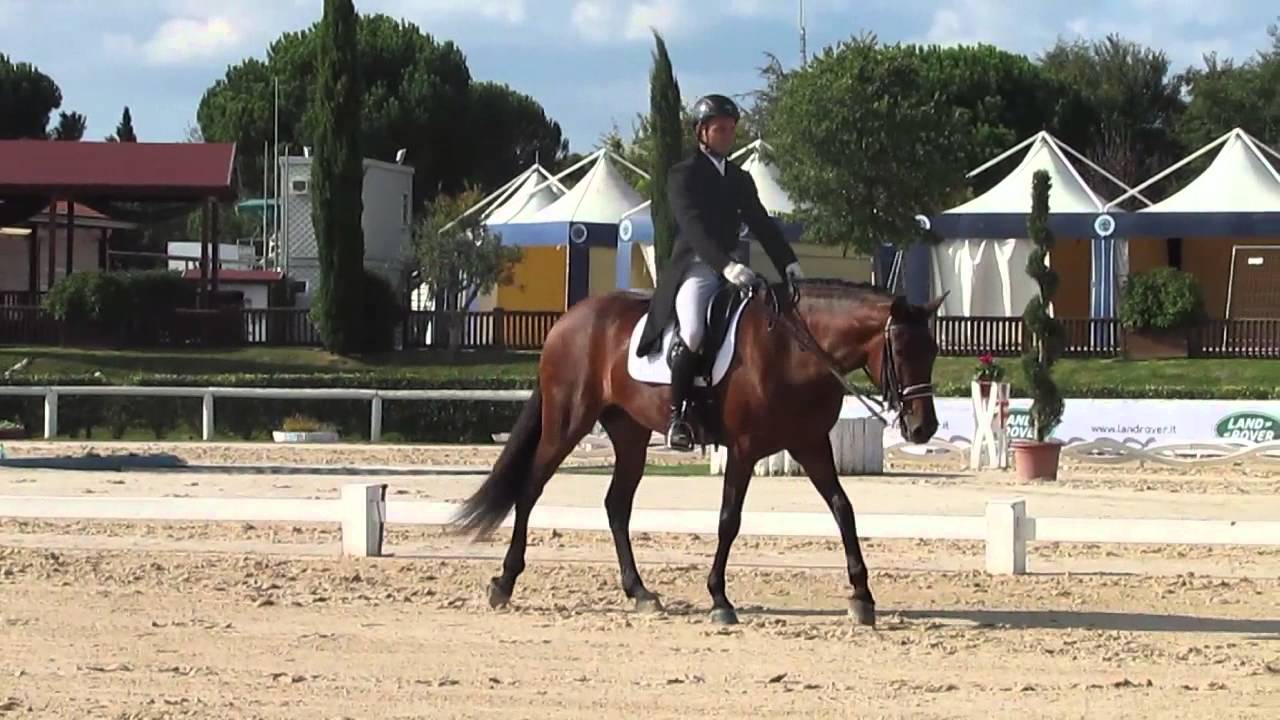 Andrea Giovannini: Prova M100 Campionato italiano Senior Pro 2014.