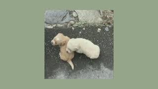 Jaz - Teman Bahagia || Speed Up