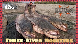 Fishing three giant 230 pound catfish on the river Po in Italy - Part 1 by YURI GRISENDI by Catfish World by Yuri Grisendi 46,484 views 2 years ago 7 minutes, 15 seconds