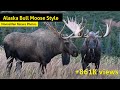 The Art of Sparring, Alaska Bull Moose Style