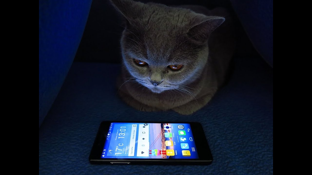 Foxconn Infocus M512 Обзор 4G смартфона с Gorilla Glass 3 на Snapdragon 400