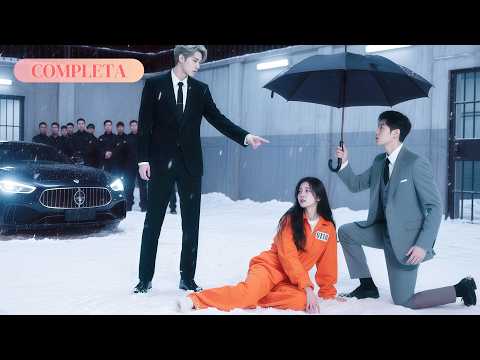 明月若雪 poster
