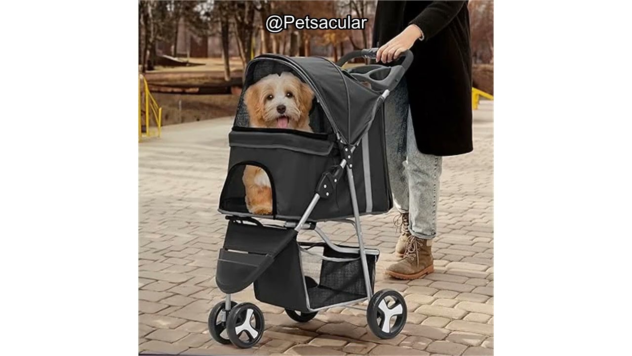 Обзор колясок для собак и кошек: комфорт, безопасность и соотношение цены и качества.