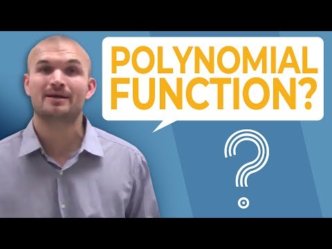 What is a polynomial function