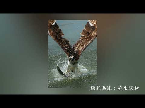 「九頭竜川」五木ひろし　Cover　麻生政和