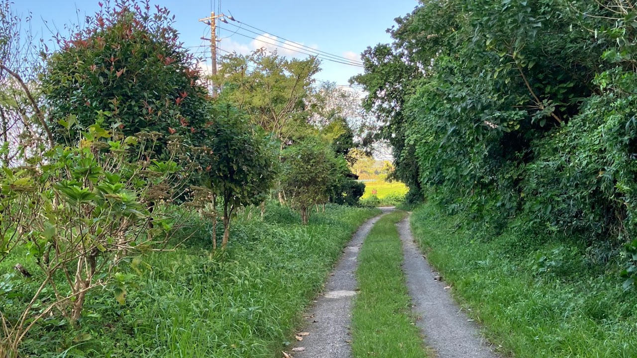 福島県郡山市田村町ライブカメラFukushima koriyama Live camera.World cam.