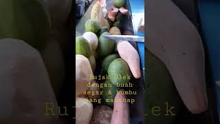 Download Lagu Rujak Uleg, a mixture of fruit and traditional spices: chili, peanuts \u0026 palm sugar#kuliner#jakarta MP3