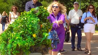 Download Lagu Ultimate Best of Bushman Prank summer reaction !! MP3 Download Lagu Ultimate Best of Bushman Prank summer reaction !! MP3