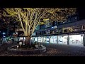 🇯🇵 Japan Walking Tour - Otsu Shiga Night Walk | 4K HDR