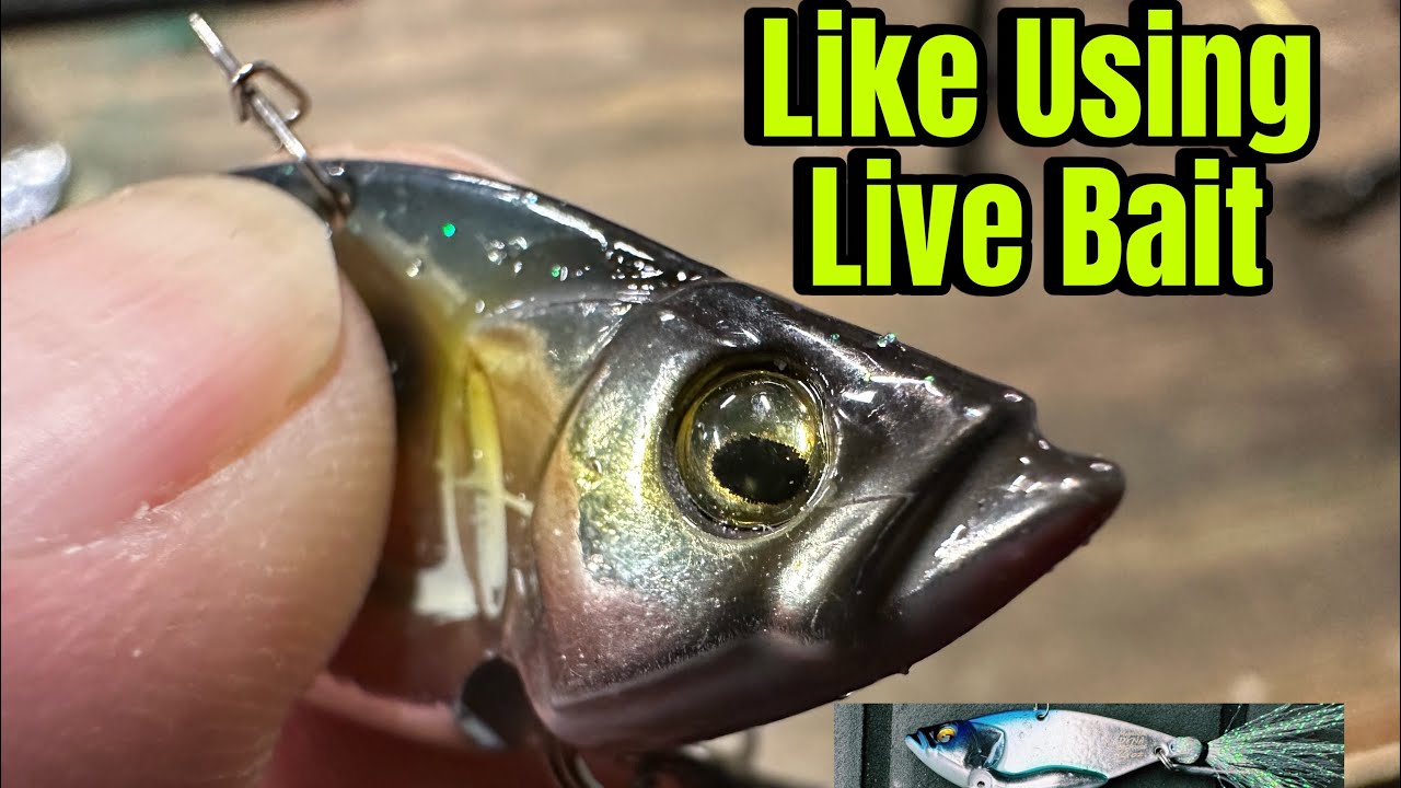Pros Have Been Keeping This New Lure Quiet From Y’all…