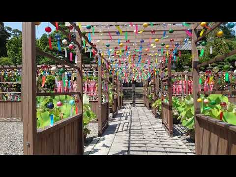 遠州三山可睡斎風鈴まつり