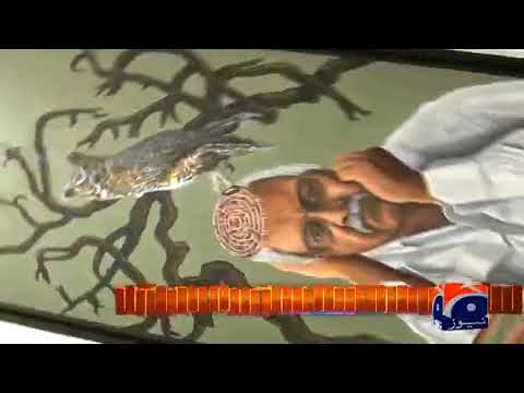 Special Report - Surrealism Revisited with Shakil Saigol