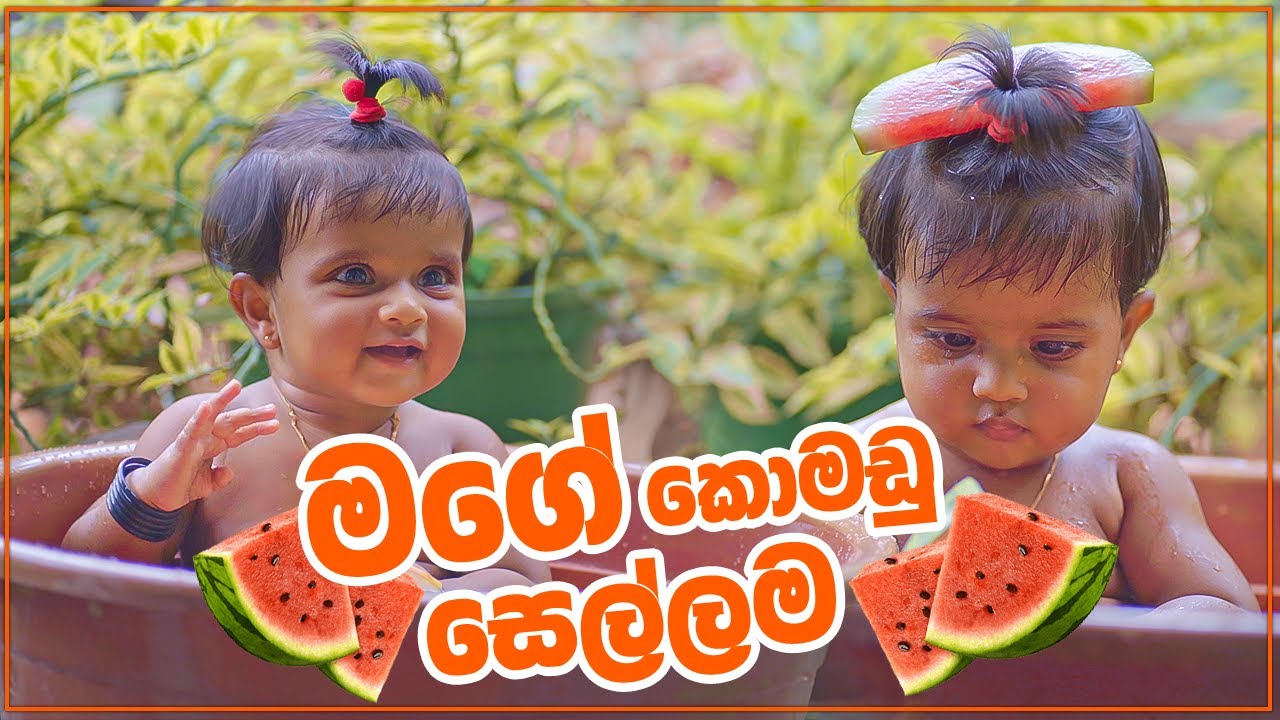 මගේ කොමඩු සෙල්ලම My watermelon game  | Aishu Liwenya