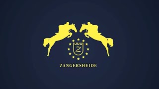 Timothèe Z Timothèe Z