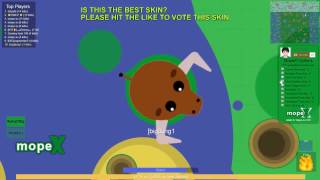 MOPE.IO // SKIN 5