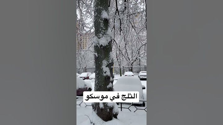 الاسكندرية تتحدى موسكو بالثلج❄️