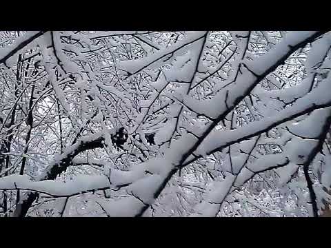 ზამთარი აწყურში (ახმეტა) 2017