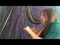 In The End - Linkin Park (Harp Cover by Arianna Worthen)