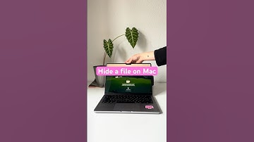 Quick Terminal command to hide a file on Mac. #shorts