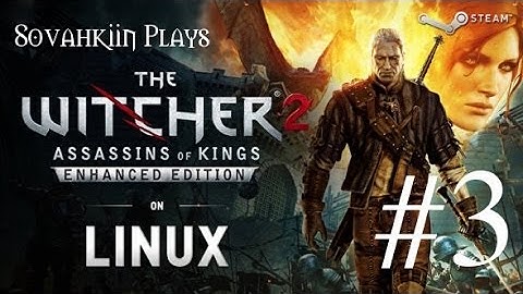 Sovahkiin Plays on Linux: Witcher 2 - Episode 3