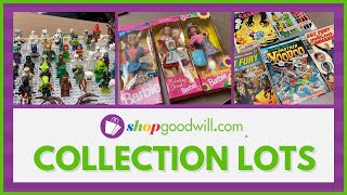 shopgoodwill.com | How We Bundle & List COLLECTION LOTS Content