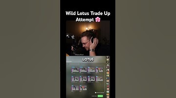 Wild Lotus Trade Up Attempt 🌸 #ohnepixel #cs2 #counterstrike #csgo #csgoskins #cs2skins