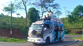 Menegangkan Elf Garut Selatan Full Penumpang Oleng Disisi Jurang Pakenjeng