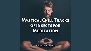 Insect's Serenade of Mystical Calm