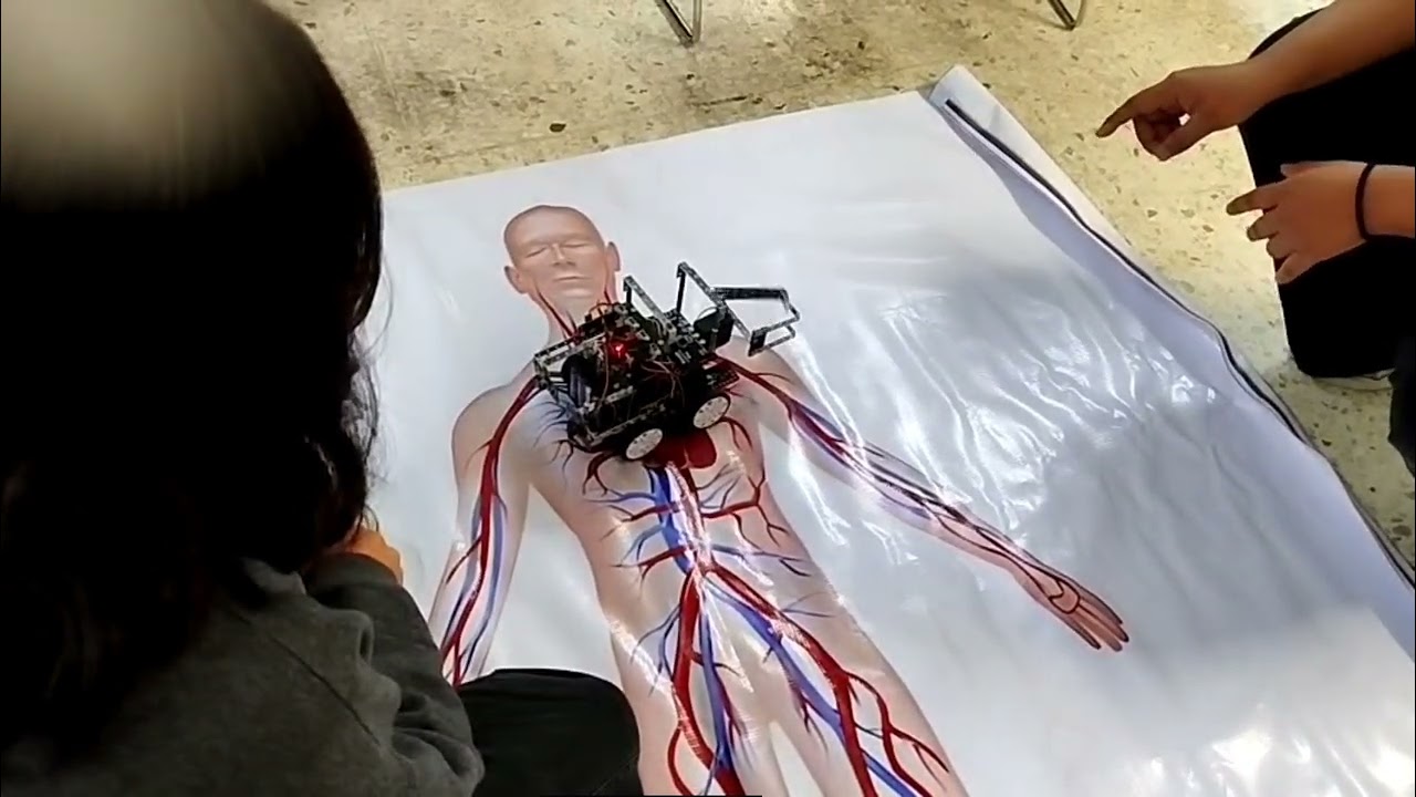 Robot Bullbot-Roboroblo. Equipo 2