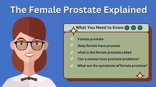 The Female Prostate Explained   What You Need to Know