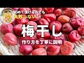 【初心者でも失敗しない】自家製梅干しの作り方!おすすめの塩分値の漬け方を紹介!南高梅や紀州梅で漬けても