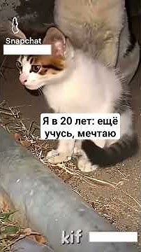 20 лет: Я vs Мой батя – Поколения в сравнении 😂👨‍👦 #мемы #поколения # ...