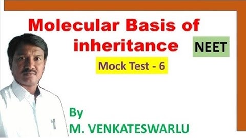 Molecular Basis of Inheritance | Mock Test  - 6 | NEET 2024 | EAPCET 2024
